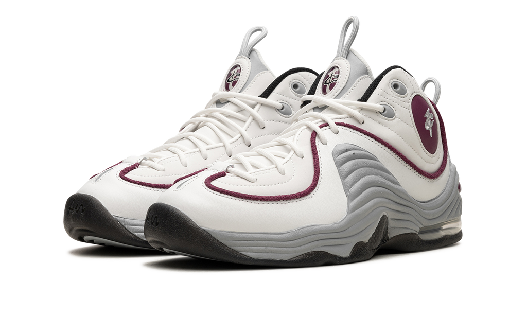 AIR PENNY 2 WMNS "Rosewood" DV1163 100