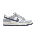 Nike Dunk Low Platinum Tint Light Carbon (GS)