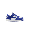 Nike Dunk Low Concord (TD)