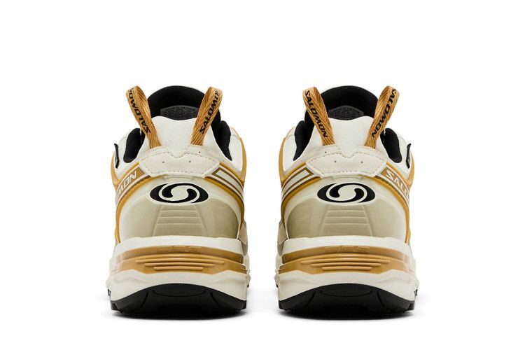Salomon ACS Pro GORE-TEX 'Icicle Antelope'