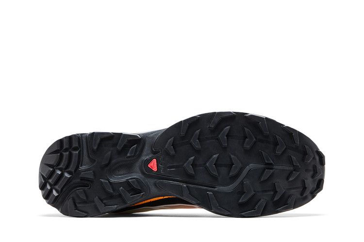 Andrew x Salomon XT-6 'Florida Snow Crab'