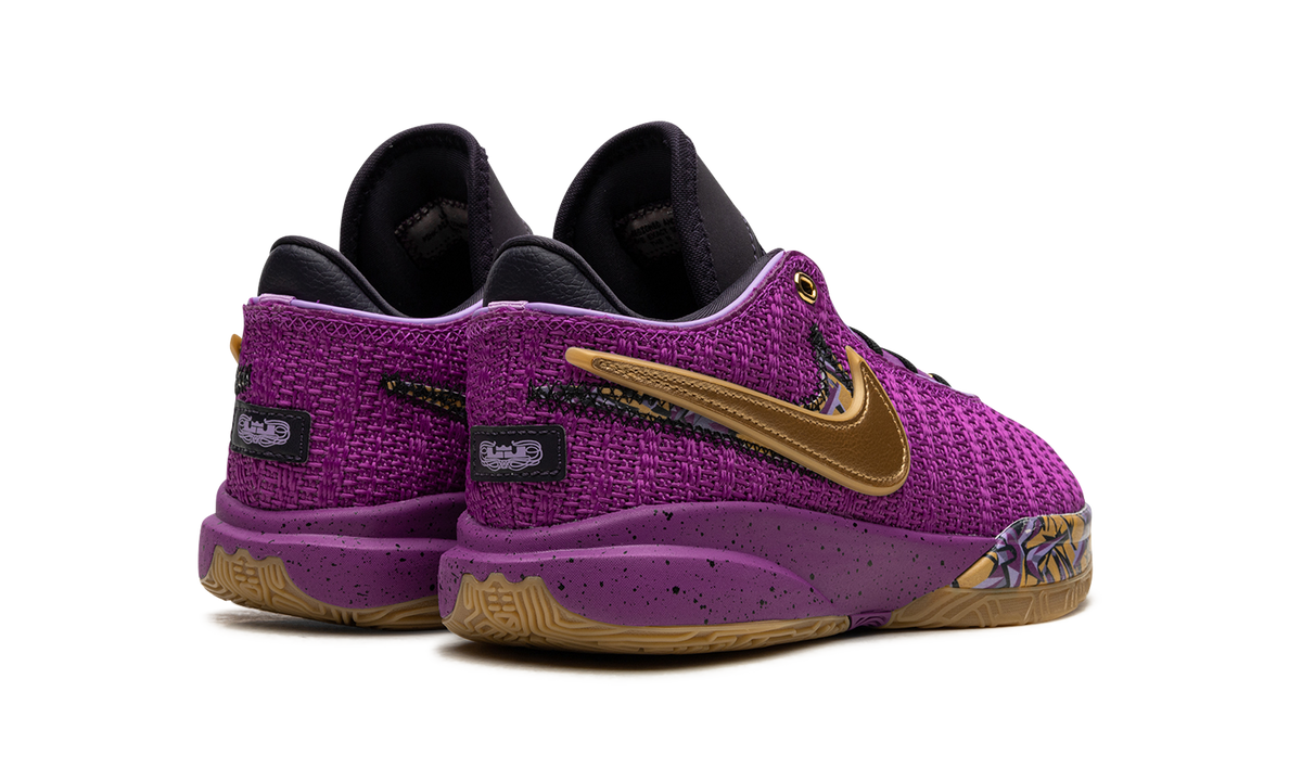 LeBron 20 GS "Young Heirs" FD0207 500