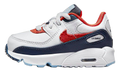 Air Max 90 TD "USA Denim" DJ5179 100