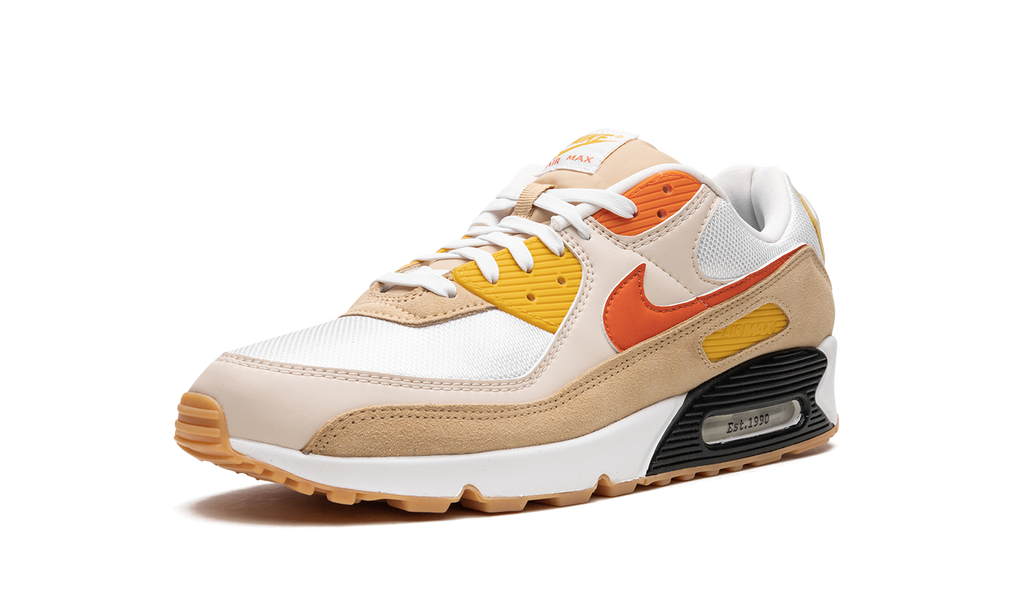 Air Max 90 "Pressure" FB4315 100
