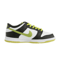 Nike Dunk Low Glow in the Dark (GS)