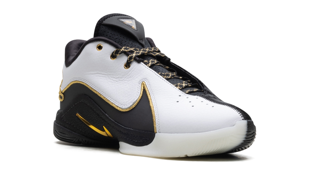 LeBron 22 "Mogul" HV8454 100