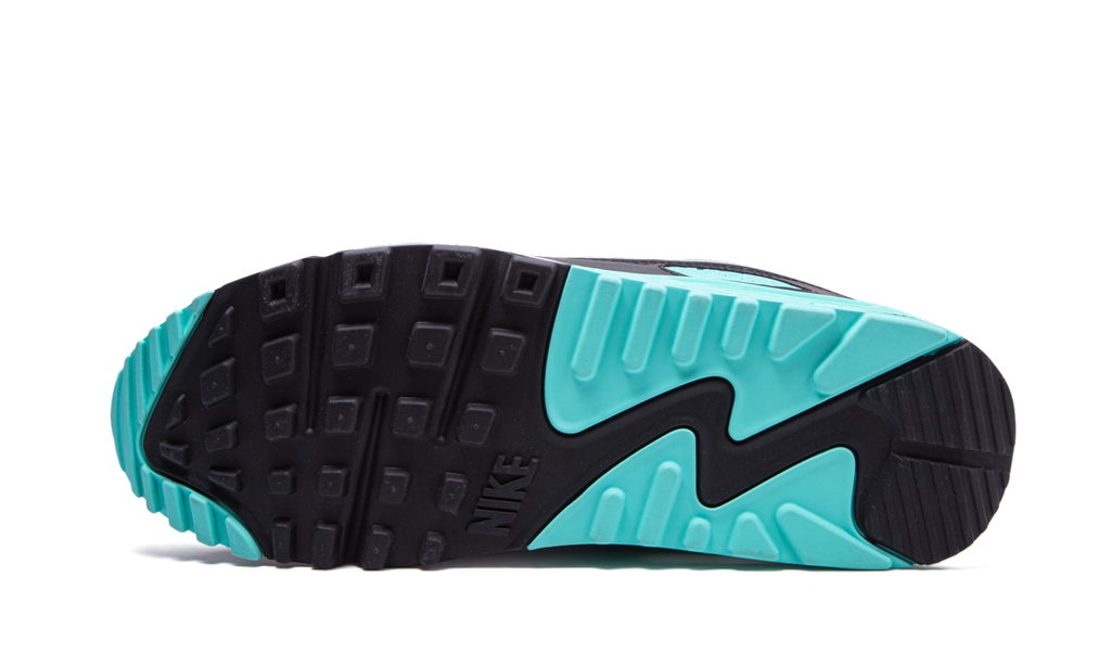 Air Max 90 "Turquoise" CD0881 100