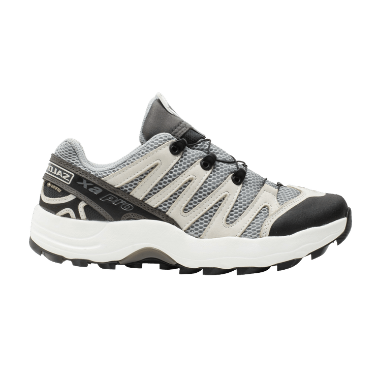 BEAMS x Salomon XA Pro 1 GTX 'Quarry Black'