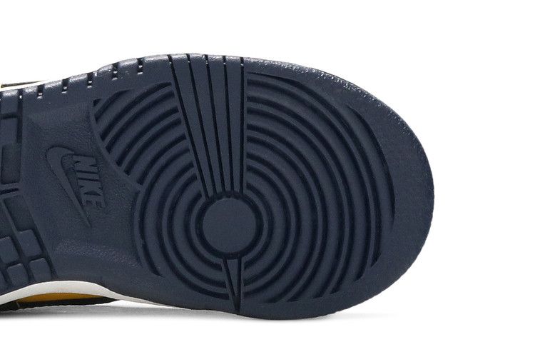 Nike Dunk Low Michigan (2021) (TD)
