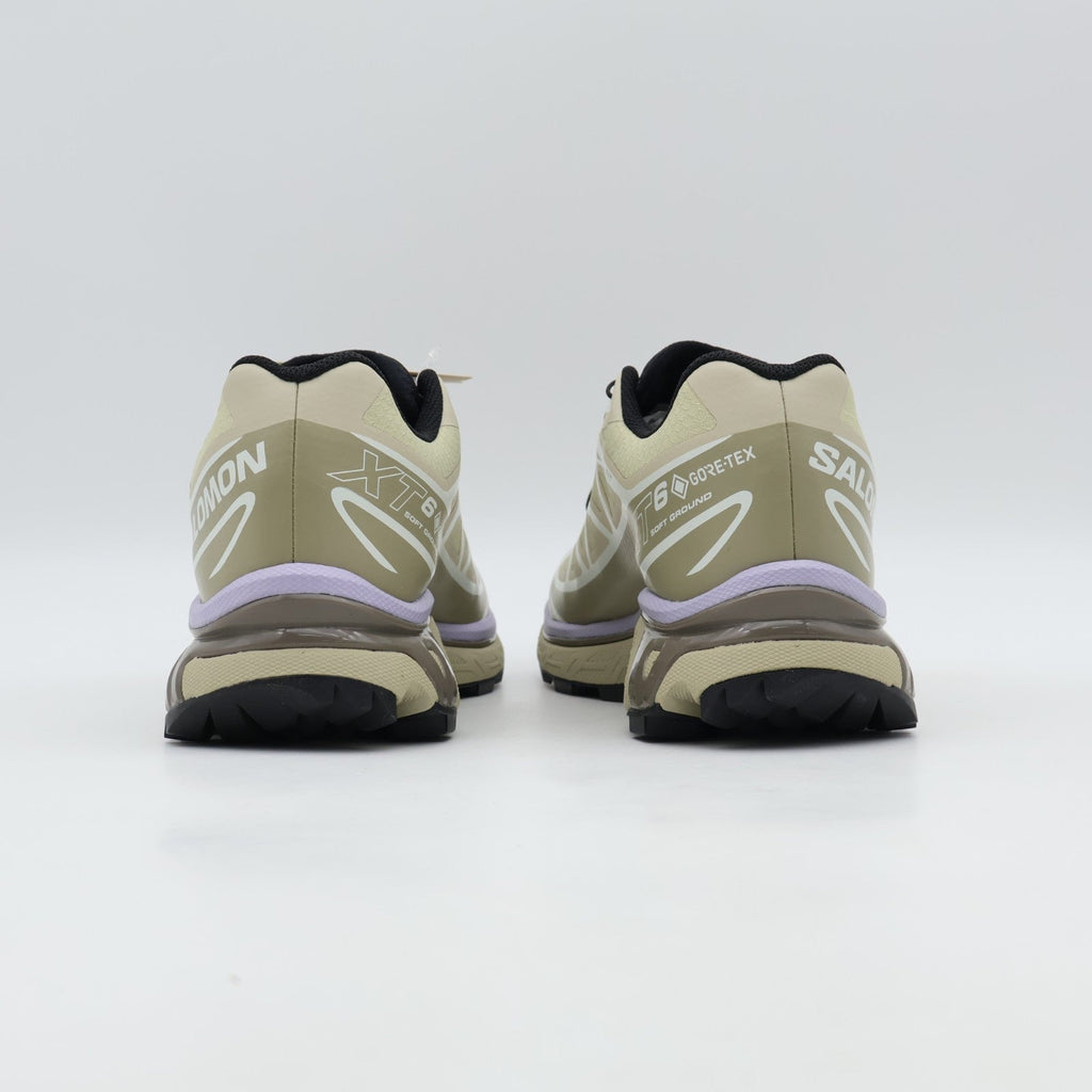 L49202300 Salomon XT-6 GORE-TEX Eucalyptus Silver Sage (Men's)