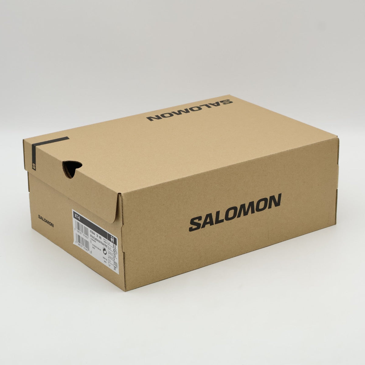 L47864400 Salomon XT-6 Tsuru (atmos Exclusive) (Men's)