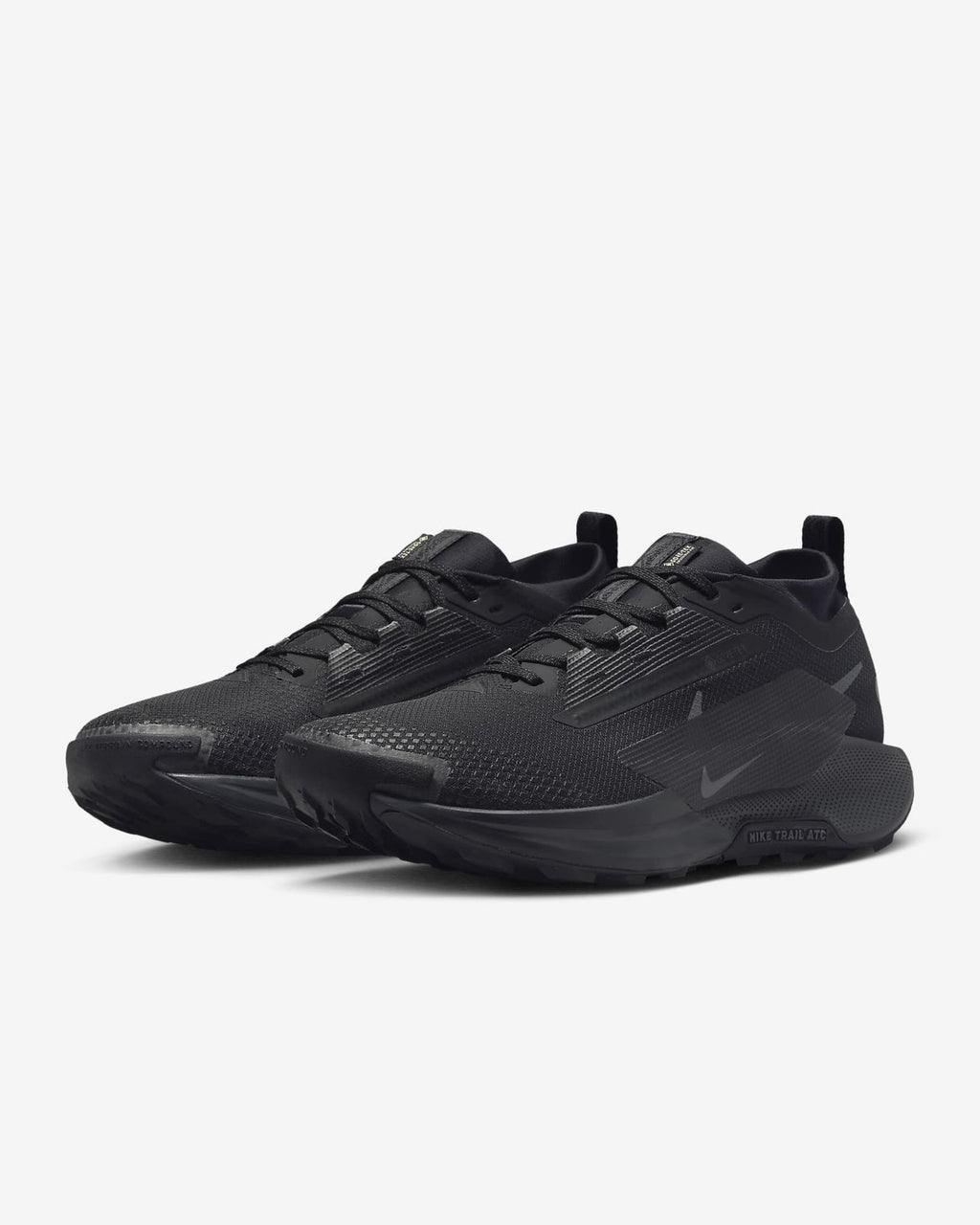 FQ0908-002 Nike Pegasus Trail 5 GORE-TEX Black Anthracite (Men's)