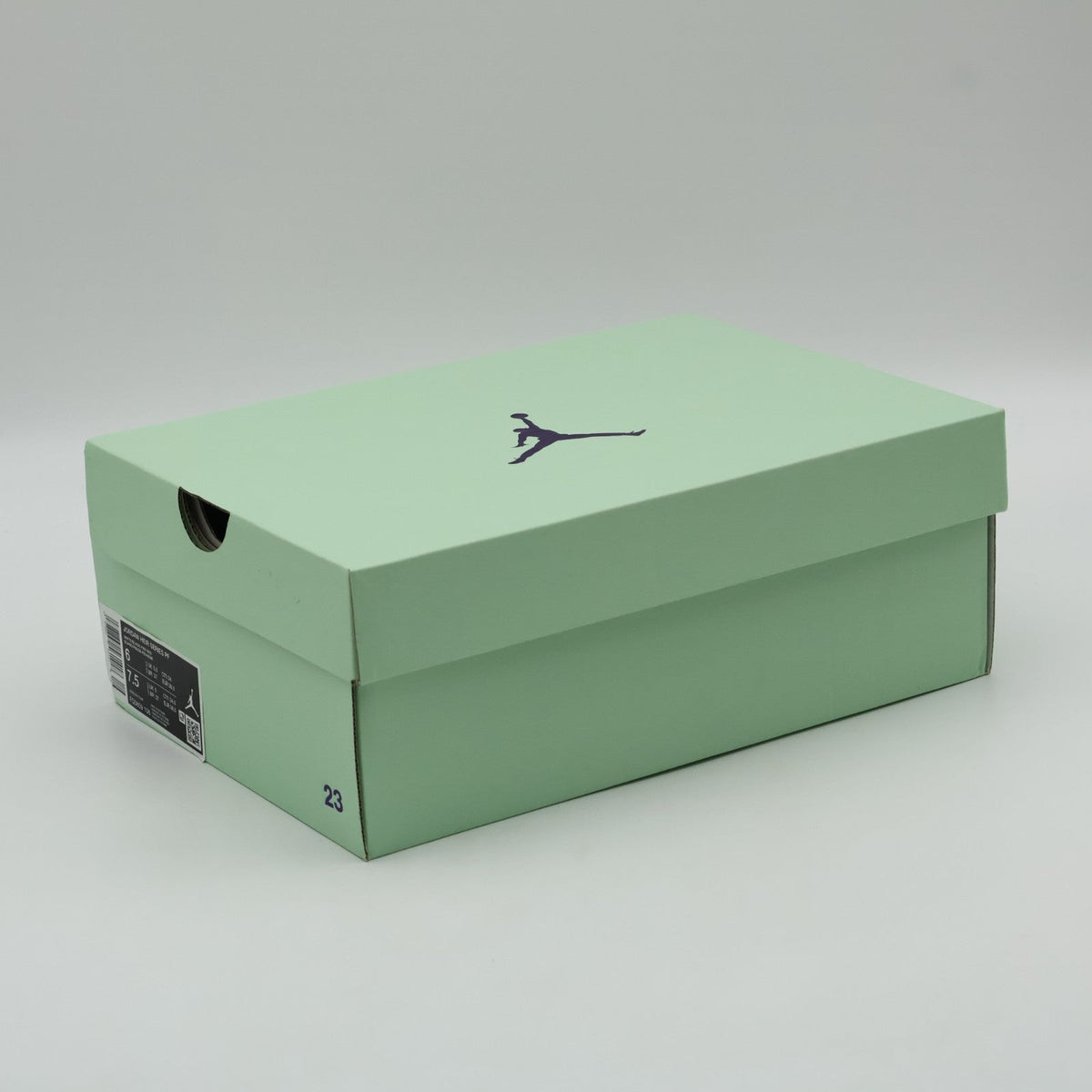 FQ3859-106 Nike Jordan Heir Series Blood Line (Men's)