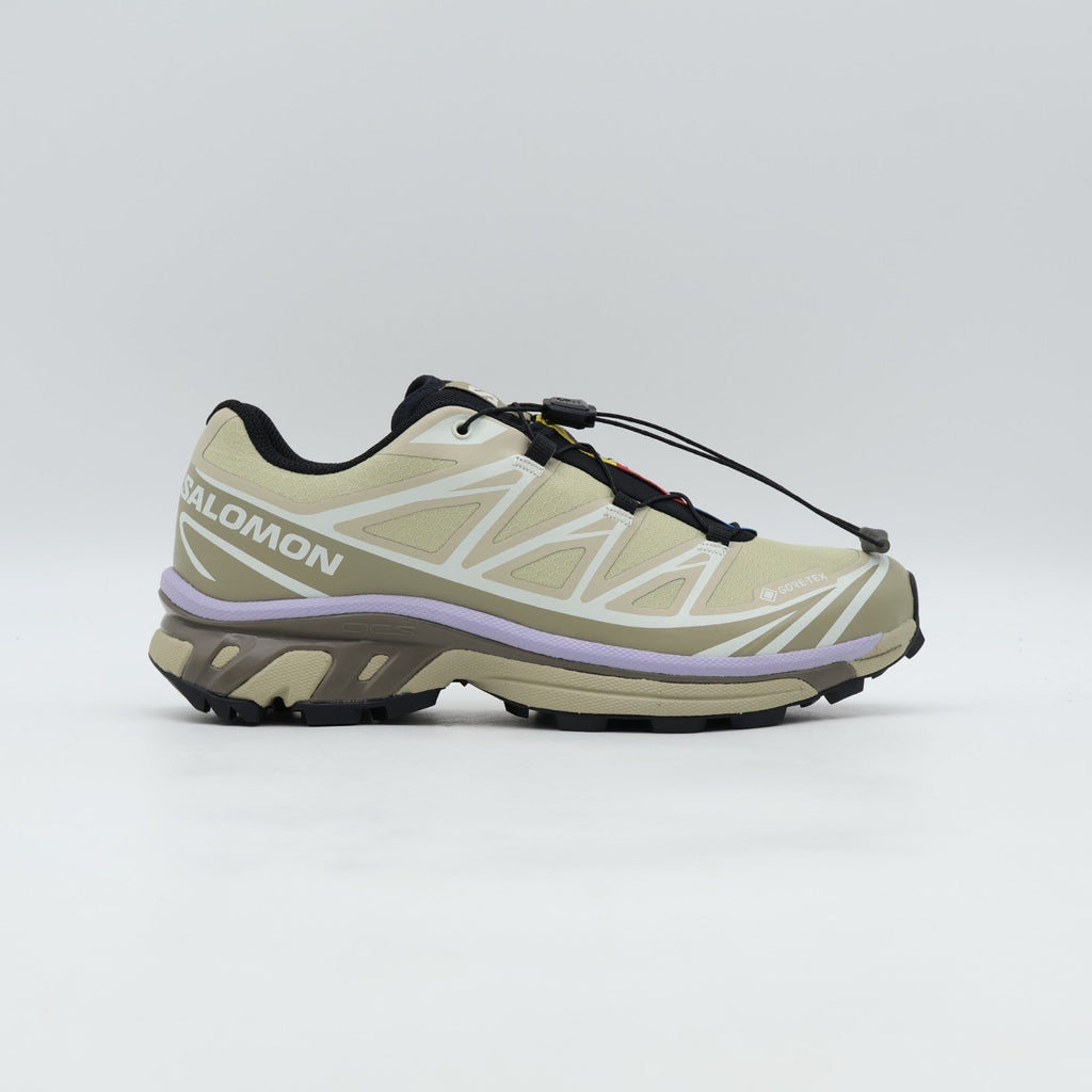L49202300 Salomon XT-6 GORE-TEX Eucalyptus Silver Sage (Men's)