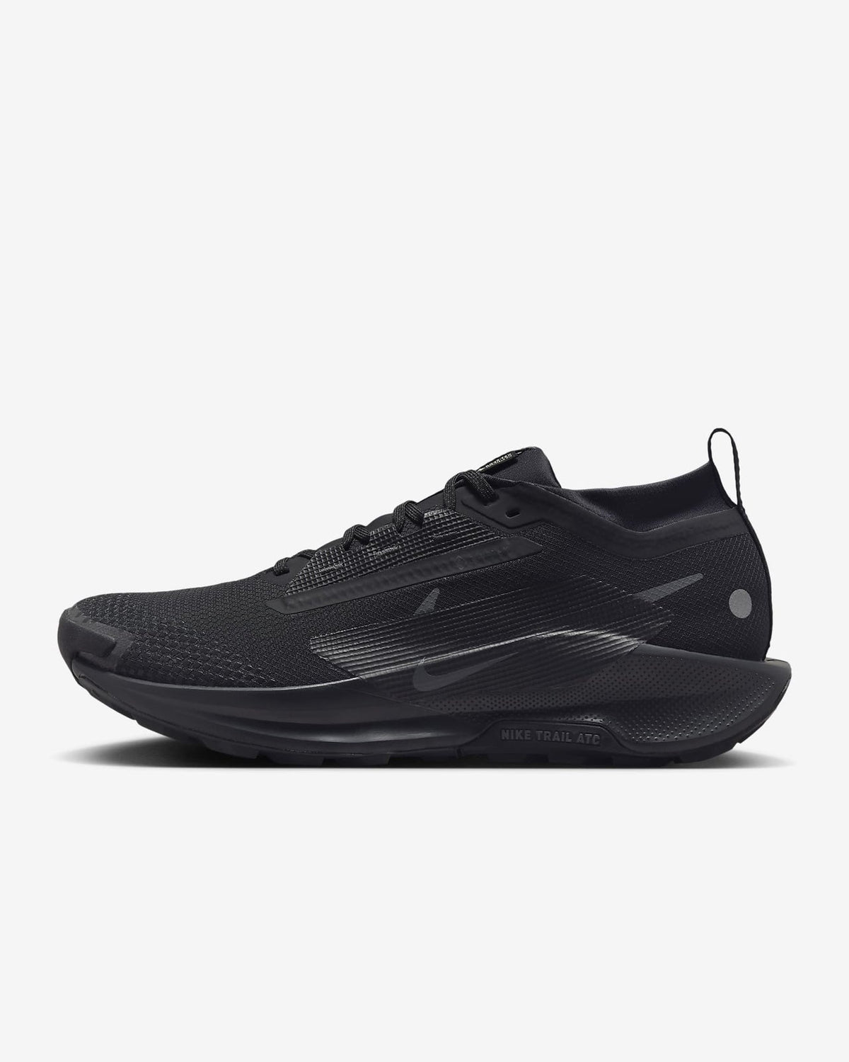 FQ0908-002 Nike Pegasus Trail 5 GORE-TEX Black Anthracite (Men's)