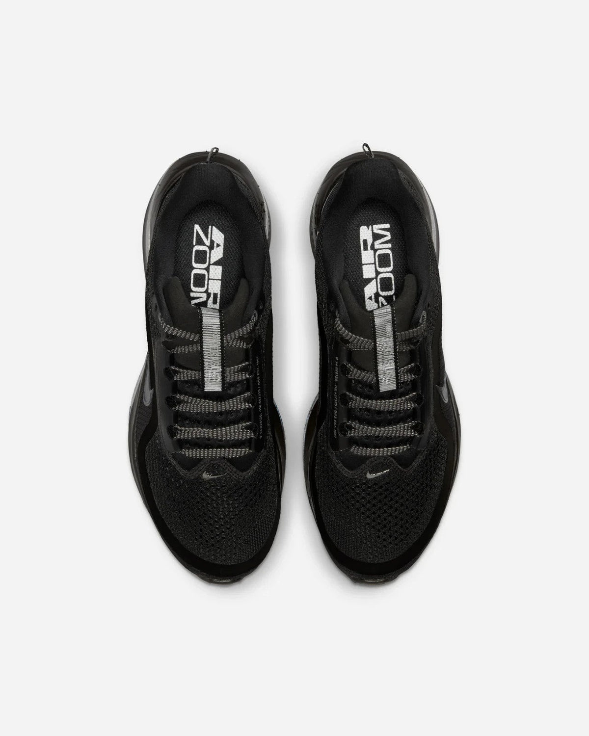HQ2593-004 Nike Women's Pegasus PRM Black Metallic Silver (Women's)
