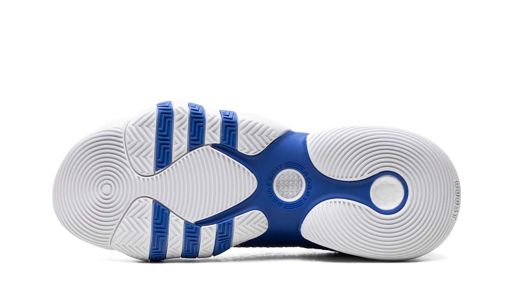 Trae Young 2.0 "Royal Blue" H03839