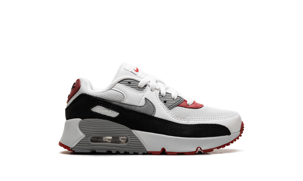 Air Max 90 PS "Photon Dust Grey" CD6867 019