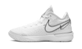 Zoom Lebron NXXT Gen "White / Metallic Silver" DR8784 101