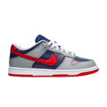 Nike Dunk Low CO.JP Samba (2020)