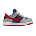 Nike Dunk Low Retro TD 'Samba' 2020