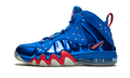 Barkley Posite Max "Sixers" 555097 300