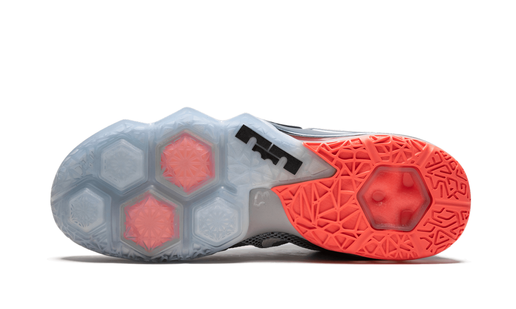 Lebron 12 Low "Wolf Grey" 724557 014