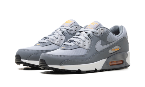 Air Max 90 "Cool Grey Sundial" HV6224 002