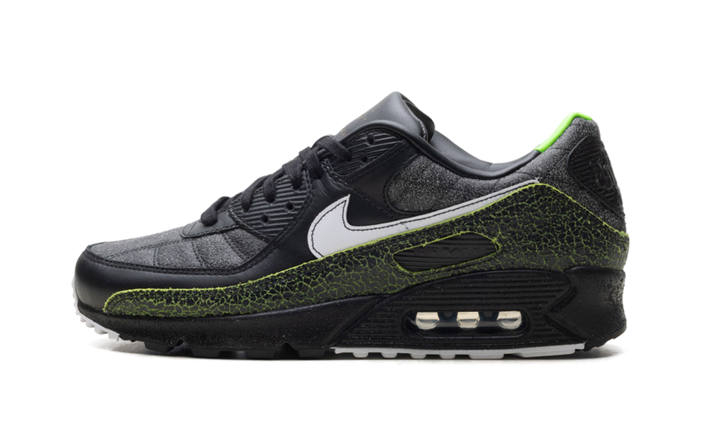 Air Max 90 "Tiempo 2005" IU0523 010