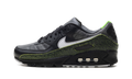 Air Max 90 "Tiempo 2005" IU0523 010