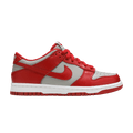Nike Dunk Low Retro UNLV (GS) (2021)