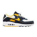 Nike Air Max 90 'Dunk From Above'