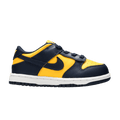 Nike Dunk Low Michigan (2021) (TD)