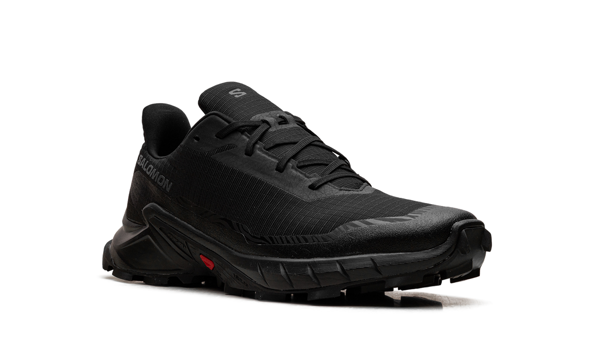Alphacross 5 GORE-TEX "Black Ebony" L47307500