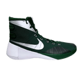 Nike Hyperdunk 2015 TB 'Gorge Green'