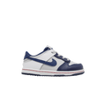 Nike Dunk Low EMB NBA 75th Anniversary Brooklyn Nets (TD)