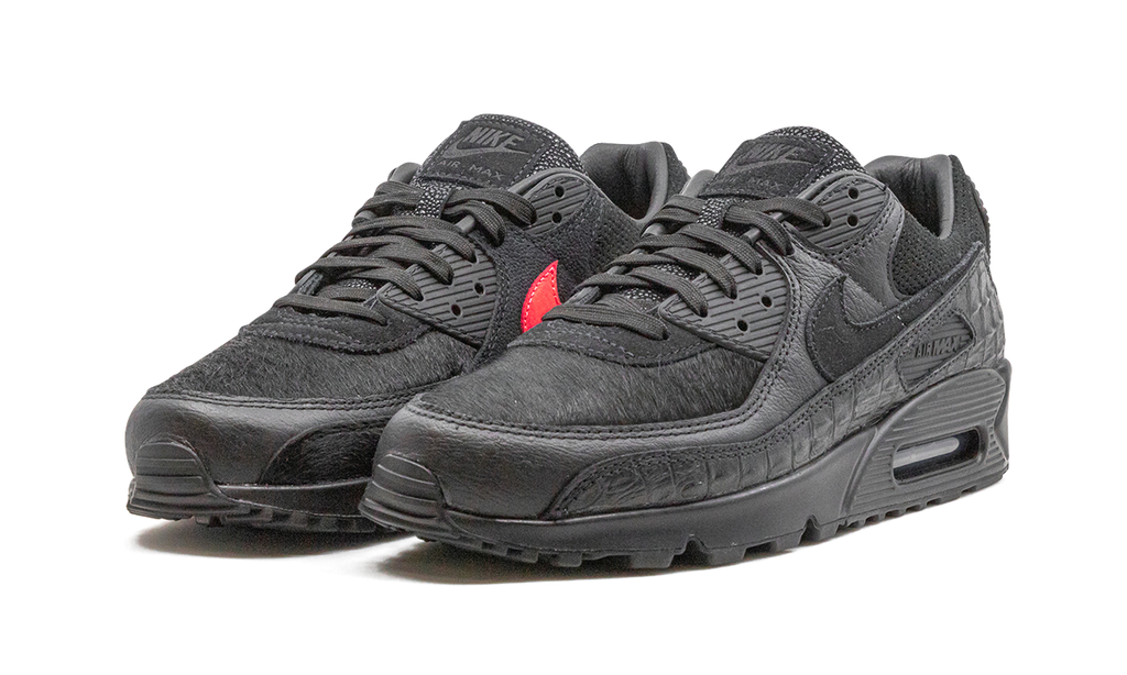 Air Max 90 "Animal Pack" CZ5588 002
