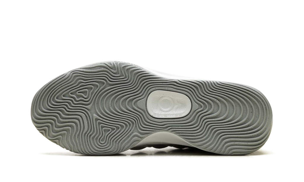 KD 17 TB "Wolf Grey" FV1307 002