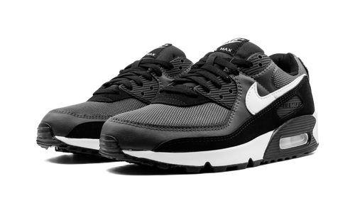Air Max 90 "Iron Grey" CN8490 002