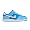 Nike Dunk Low Retro QS PS 'Argon' 2022