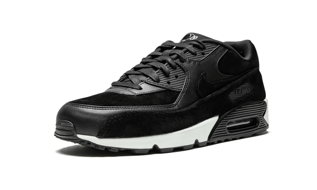 Air Max 90 Premium "Rebel Skulls" 700155 009