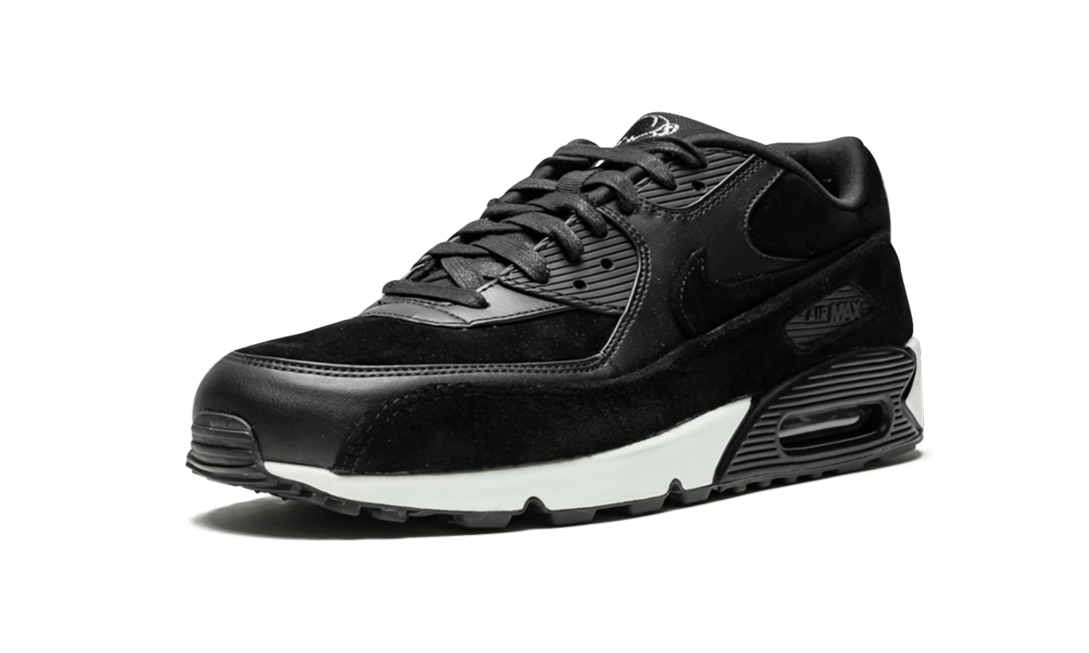 Air Max 90 Premium "Rebel Skulls" 700155 009