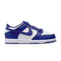 Nike Dunk Low Concord (PS)