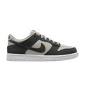 Nike Dunk Low Light Iron Ore White Gym Red Anthracite (GS)
