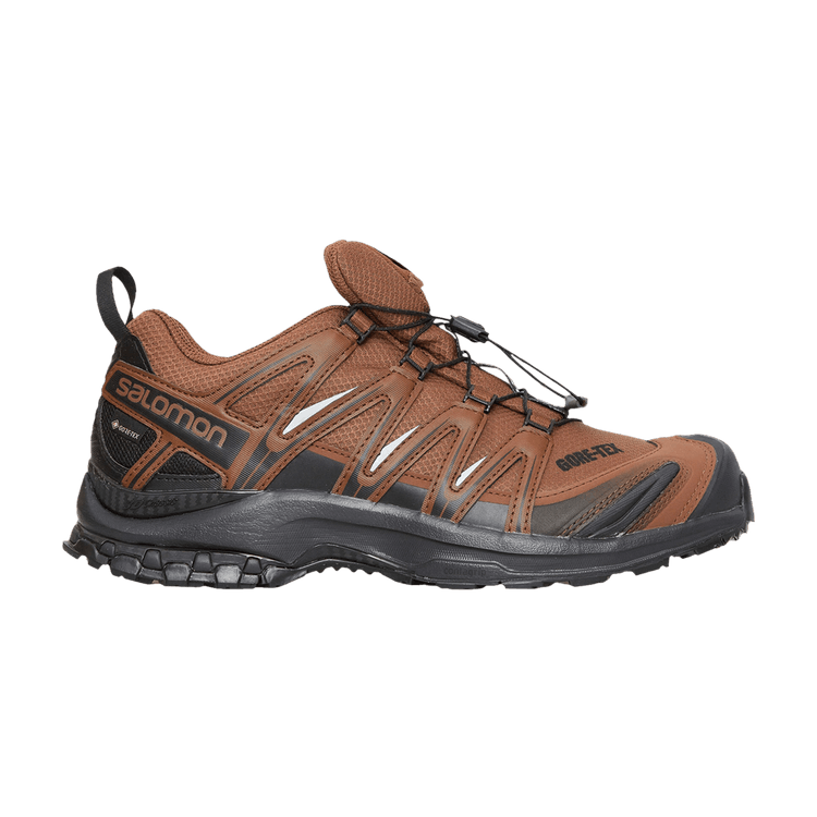 Salomon and wander x XA Pro 3D GORE-TEX 'Dark Earth Black'