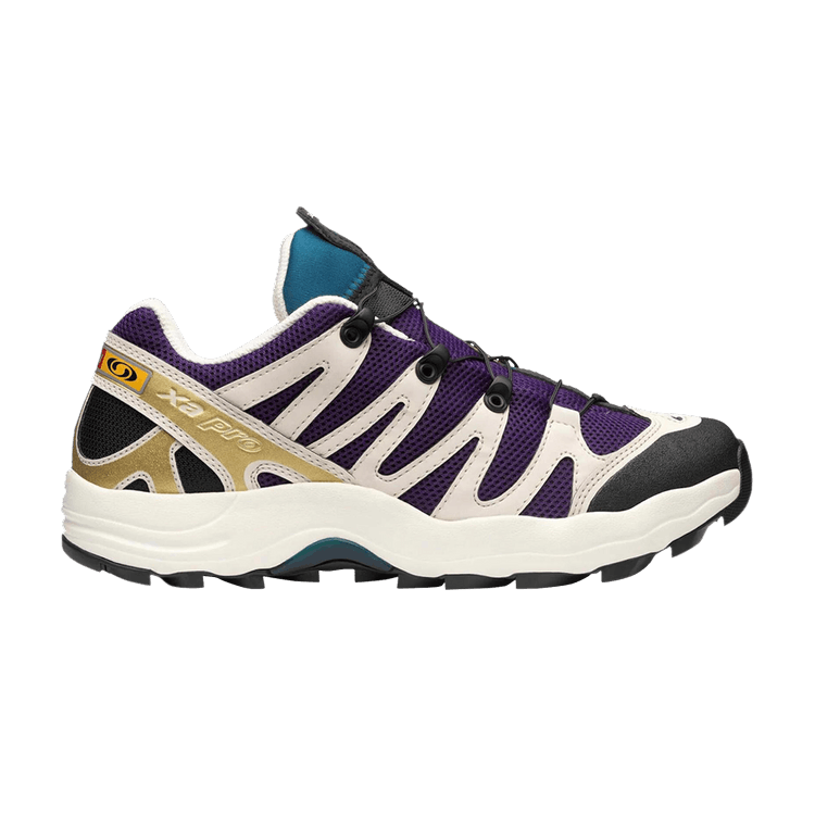 Salomon XA Pro 1 'Grape Juice Chocolate Fondant'