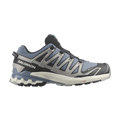 Salomon XA Pro 3D V9 GORE-TEX 'Flint Stone Ghost Grey'