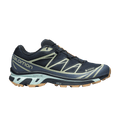 Salomon XT-6 GORE-TEX 'Carbon Desert Sage'