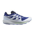 Salomon Pulsar Trail 'Surf The Web Pearl Blue'