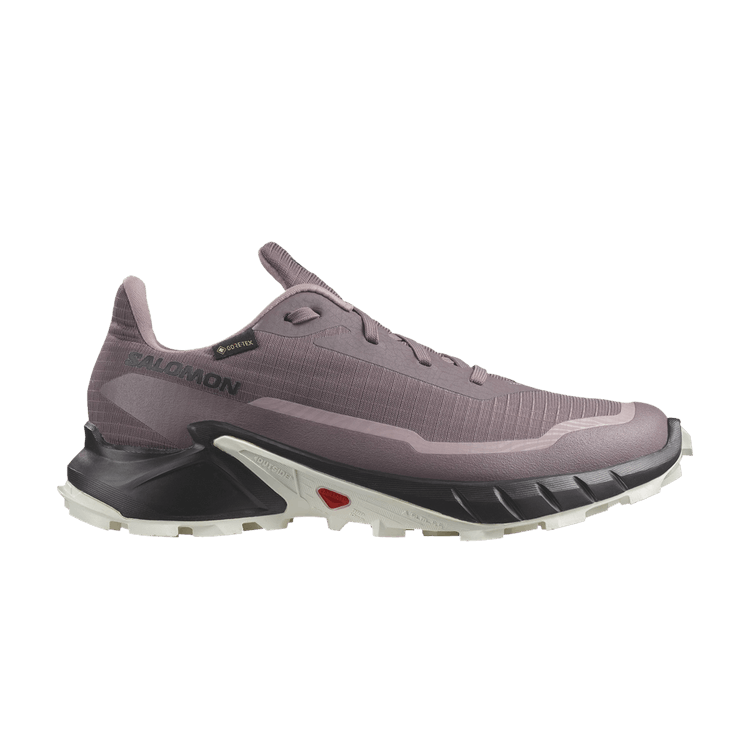 Salomon Wmns Alphacross 5 GORE-TEX 'Moonscape'